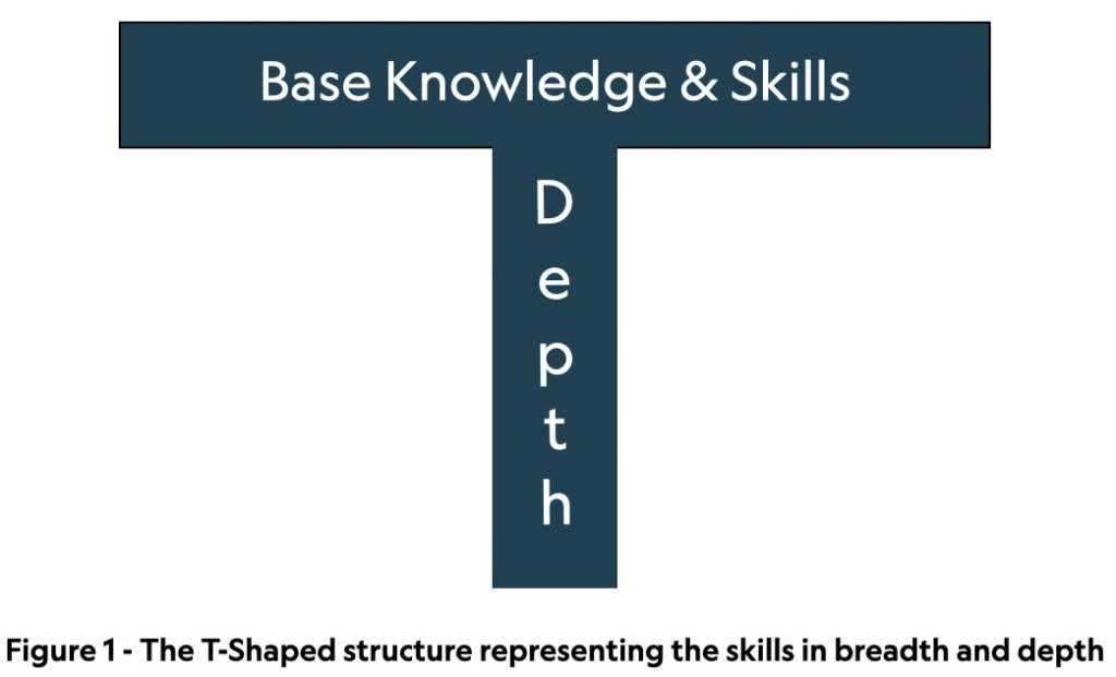 t-shaped-teams-for-better-collaboration-opquast