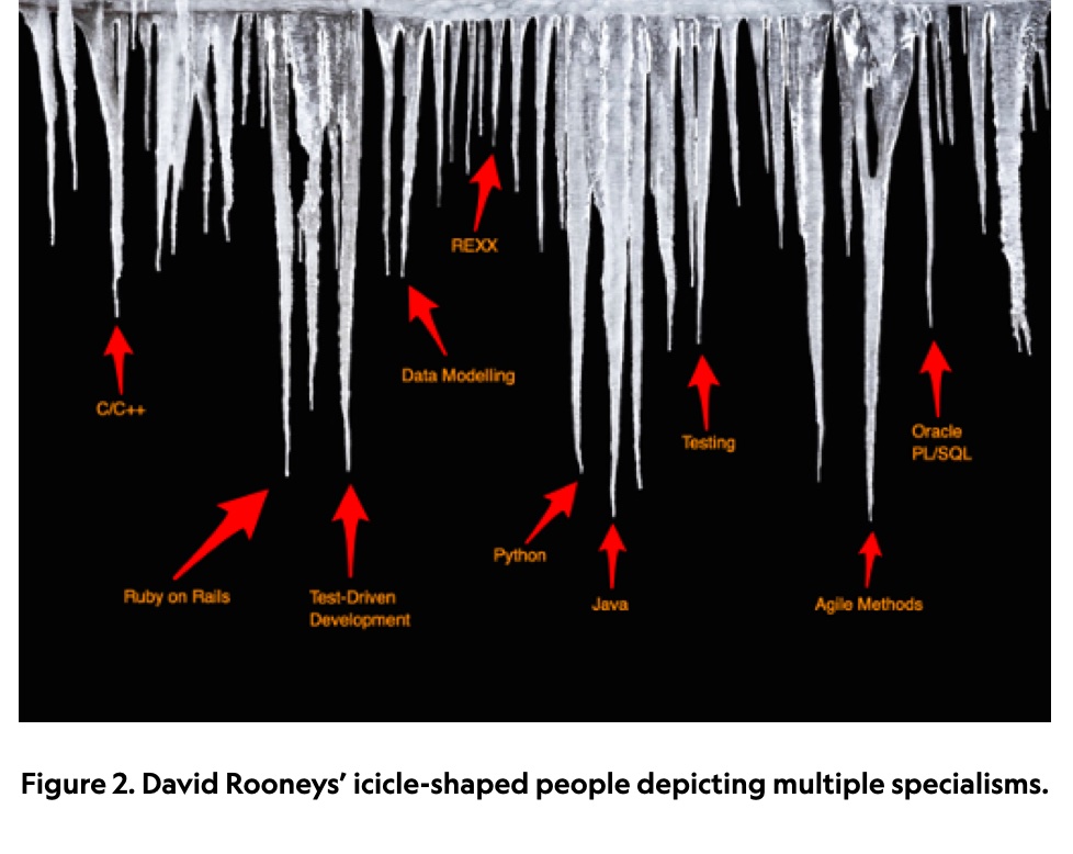 Figure 2. Icicles hanging with each one representing a skill