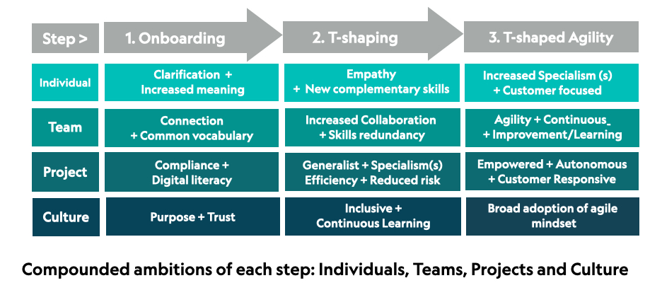 The 3 Step model below shows the 3 steps;step 3 showing The Stage Title=T-shaped Agility, Team=Agility + Continuous Improvement, Culture=Support agile mindset, Individual: Resopnsive + Autonomous, Projects:Autonomous management + increased specialism
