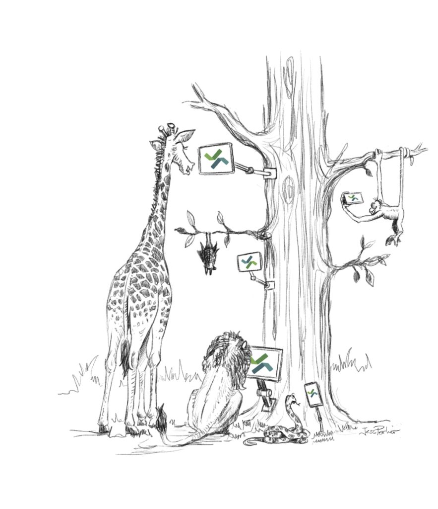 Des animaux de la jungle sont en train de regarder des écrans de toutes tailles et dans toutes les positions, positionnées dans l'arbre en fonction des besoins des utilisateurs. Chaque écran a une coche du logo opquast